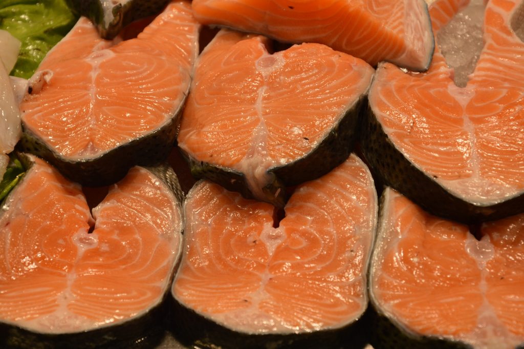 Salmon